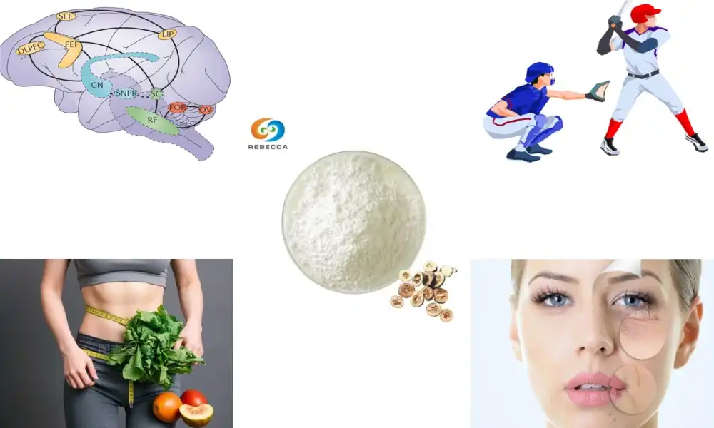 What is synephrine hydrochloride used for?